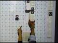 Tabletop small scale warehouse simulation
