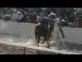 REVANCHA CAMINERO V GERONIMO CARRERAS DE CABALLOS EN DURANGO