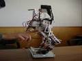 Biped Robot _Based human locomotion