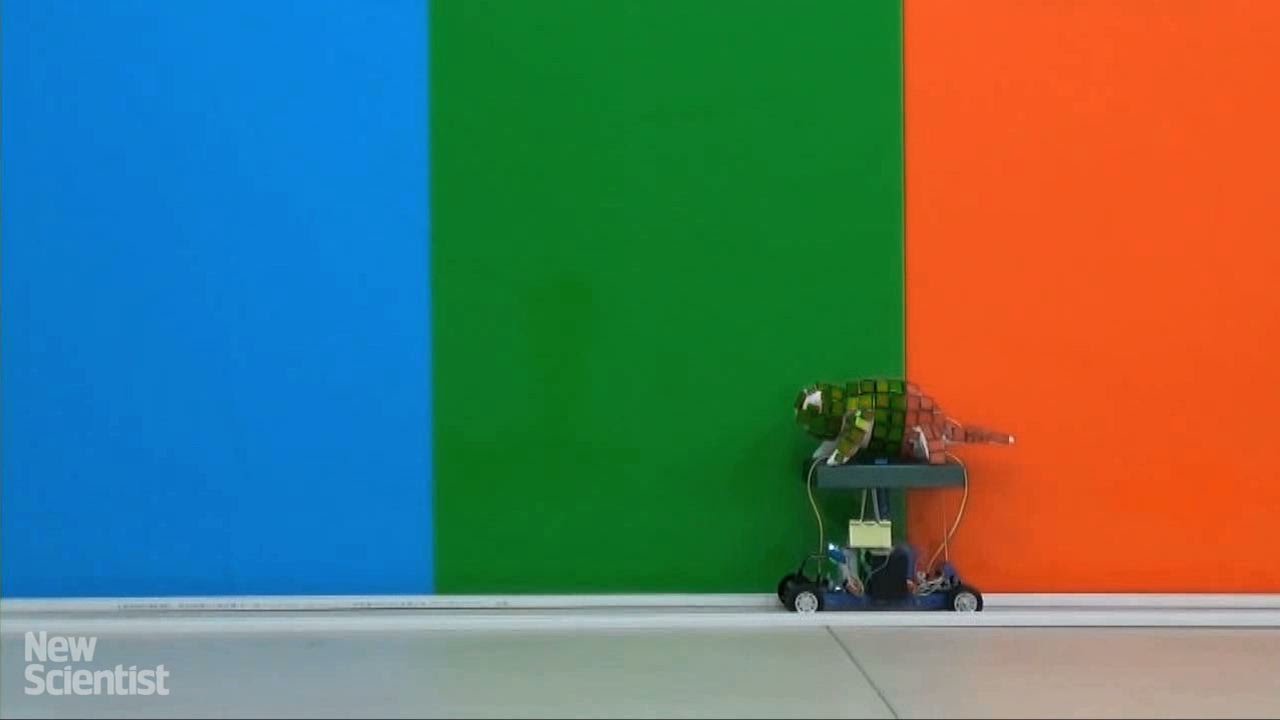 Робототехники из Китая создают робота-хамелеона. Фото.