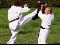 Kyokushinkai Karate Bologna Kyokushinkai Karate Bologna
