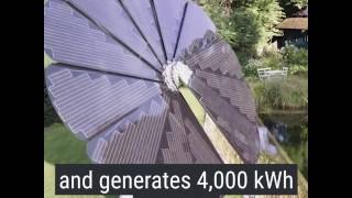 Solar Sunflower...