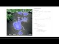 Wolfram CDF introductie