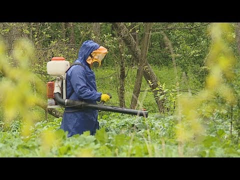 22 мая - Міжнародны дзень біялагічнай разнастайнасці видео