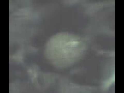 how to dissolve avicel