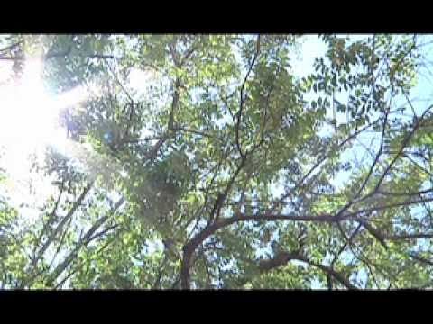 Primer observatorio astronómico en Panamá.