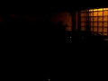 Lobster - Video 1