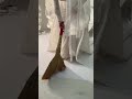Невеста убирает 😂😂😔 #свадьба #самыекрасивыесвадьбы #wedding