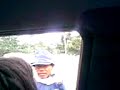 Pulis Oyster 1