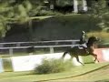 Hipico Rancho Avandaro