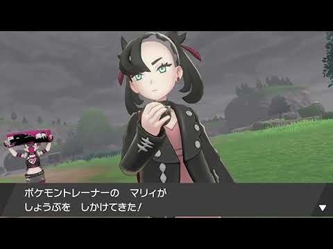 動画