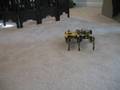 Lynxmotion Hexapod