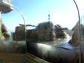 videos de wave - monterey bay aquarium