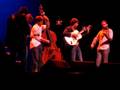 videos de Punch Brothers - The Beekeeper