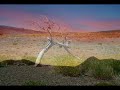 Patagonia Neuquén Chos Malal Argentina Norte Patagonico