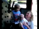 The train