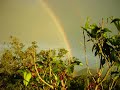 Double Rainbow ??