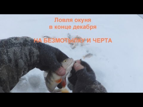 техника ловли окуня на черта техника ловли окуня на черта