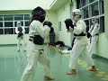 Nippon Kempo Trainin