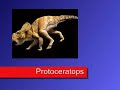 Oviraptor - Toch geen eierdief? Oviraptor - Toch geen eierdief?