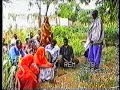 SOMALI RAXANWAYN IS AFGARANWAAGA MAAY IYO MAXAATIRI
