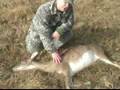 How to Hunt Deer : Where to Shoot a Deer for Deer Hunting