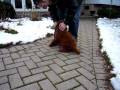 Blazeoutside081202.MOV