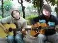 月星/Tsukihoshi 山弦 (Cover)