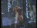 Steve Hadsel Fight