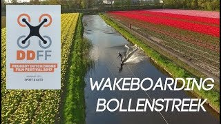 Wakeboarding between the flower fields