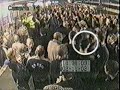 Football Hooligans - Preston v Burnley - 2002 Football Hooligans - Preston v Burnley - 2002