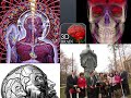 The Science of Consciousness (Professor Gerald Edelman &amp; Professor Christof Koch)