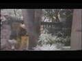 Ver Video