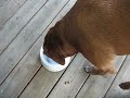 Out of water Out of water