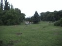 Amicus Bucuresti_Herestrau