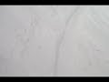 Thumbnail #1