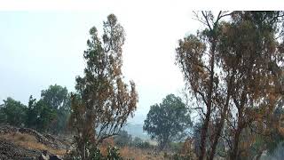 Safad villages      كل قرى صفد