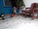 MIS BEBES 2