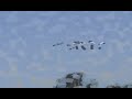 F6F Hellcat RTF RC Scale Warbird! Flight Test!