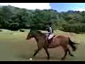 single clip of me (and horse,herc) jumping, yey.