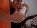 videos de Almeida e Lucca