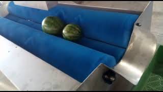 Melonenwaschmaschine