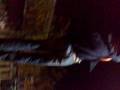 videos de Drunk Turk drops out of sign and breaks his nose and teeth, very funny