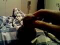 Floyd gos
