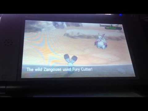 how to catch zangoose in pokemon y