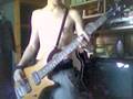 System Of A Down - Toxicity - Bass Cover