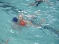 Piscina. Jornada de Portes Obertes. Col�legi L�pez Torrej�n, Badalona, gener 2009