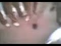 simer vs gay del v-12 xD