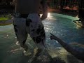 Amabel swimming Part 2