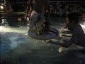 Amabel swimming Part 2